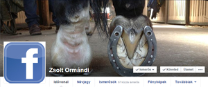 LocipeszFB